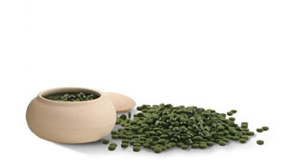 Řasa Chlorella